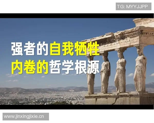 小卡的成长哲学：在强者的挑战中锻炼自我提升的智慧与勇气