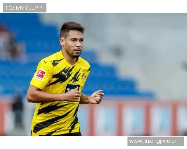 阿兰帕杜分析格伊转会前景皇萨仁或将占据优势